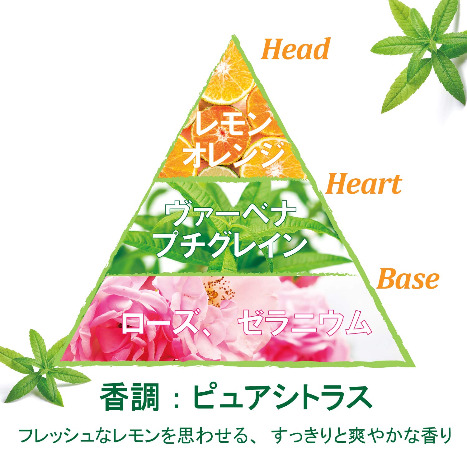 Amazon.co.jp: ロクシタン(L'OCCITANE) ヴァーベナ ボディケアキット